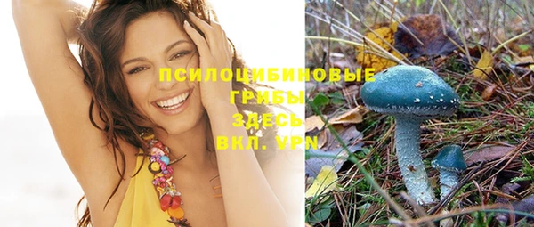 сатива Верхнеуральск