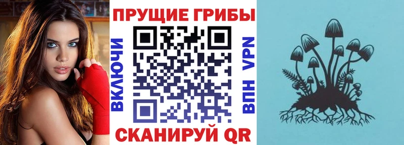ОМГ ОМГ ТОР  Луга  Псилоцибиновые грибы ЛСД 
